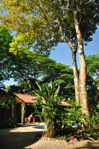 حديقة خارج Howler Monkey Hotel