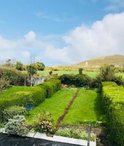 Gallery image of The Waterfront in Dingle