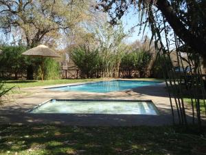 a swimming pool in a yard with an umbrella at Phokoje Bush Lodge in Selebi-Pikwe