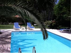 a swimming pool with two blue chairs and a palm tree at Pousada Pedras Brancas in Niterói