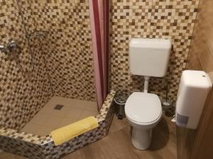 a bathroom with a toilet and a shower at Alpenstern Hotel in Vordernberg