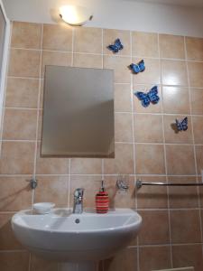 a bathroom with a sink and butterflies on the wall at Casa VeroSol in Castelsardo