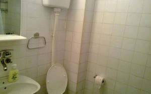 un baño con inodoro y lavabo en Seaside apartments and rooms, en Kotor 82 fotos más