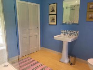 a bathroom with a white sink and a shower at Barmoors in Lastingham