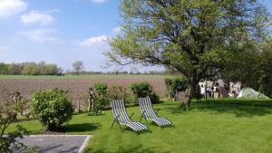 Jardín al aire libre en Ferienwohnungen Denker