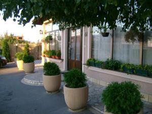 Κήπος έξω από το Konak Vukasinovic - FREE PARKING
