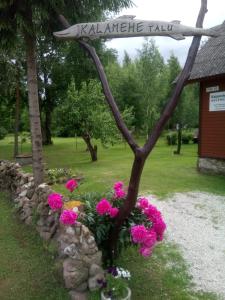 Zahrada ubytování Kalamehe Farmstay
