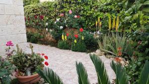 ラルナカにあるPhilippou Beach Villas & Apartmentsの多くの異なる花や植物を植えた庭園