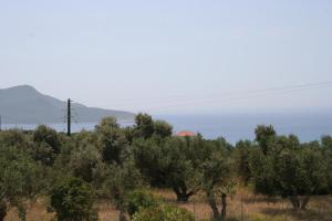 Táj Show holiday homes közelében