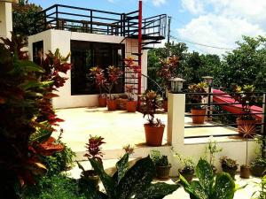 ein Haus mit einem Haufen Topfpflanzen auf einer Terrasse in der Unterkunft NVH Coron Palawan in Coron