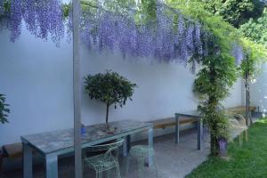 a pergola with purple wisteria hanging over a table and chairs at Blanco Apartamentos Turísticos in Santiago de Compostela