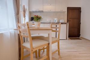 a kitchen with a table and chairs and a counter at Casa Witting in Braşov