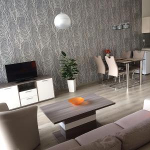 Μια τηλεόραση ή/και κέντρο ψυχαγωγίας στο Apartmán Třeboň č. 1