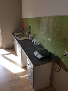 Kuchyň nebo kuchyňský kout v ubytování Kaktus Guest House + 37 fotografií