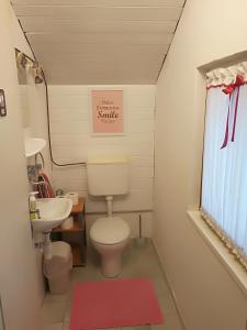 a small bathroom with a toilet and a sink at Hacienda Bled Rooms in Bled