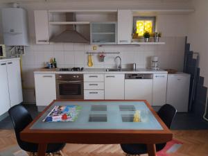 Kuchyň nebo kuchyňský kout v ubytování Apartments TERRAeSAL