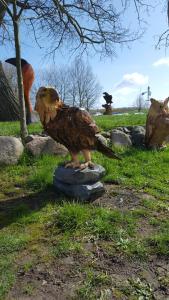 Tiere in der Ferienwohnung oder in der Nähe
