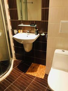 bagno con lavandino e servizi igienici di Sunny Apartment relax & spa a Burgas