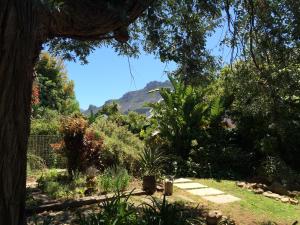 a view of a garden with a mountain in the background at Constantia Guest House in Cape Town