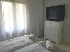 Televízia a/alebo spoločenská miestnosť v ubytovaní Zsigmond Vendégház