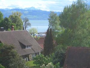 ノネンホルンにあるVilla Linke am Bodenseeの水と山の景色を望む家