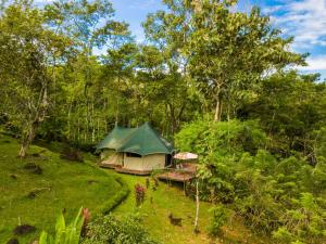 a tent in the middle of a field with trees at Manoas in Uvita