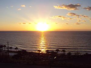 a sunset over the ocean with palm trees on a beach at Victory Byblos Hotel & Spa in Jbeil