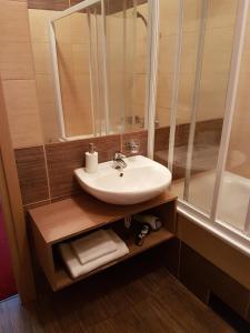 y baño con lavabo, espejo y bañera. en Agneta Apartamentai, en Druskininkai