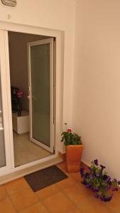 a hallway with a glass door with a potted plant at Sesimbra Oasis Apartment in Sesimbra