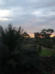 a sunset over a park with a palm tree at Rose Cottage in Metung