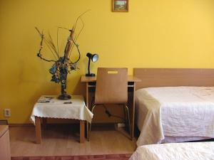 a bedroom with a desk and a bed and a chair at Dom Gościnny Pod Brzozami in Poznań +59 photos