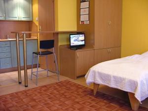 a bedroom with a bed and a desk with a television at Dom Gościnny Pod Brzozami in Poznań