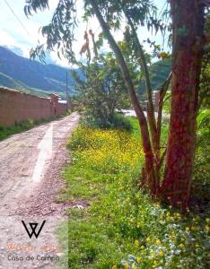 a dirt road with a tree and yellow flowers at Wayqi Wasi in Pisac