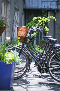a couple of bikes parked next to each other at Antique Apartments Plac Szczepański in Krakow