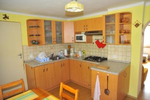 Kuchyň nebo kuchyňský kout v ubytování Apartmá u Hovorků