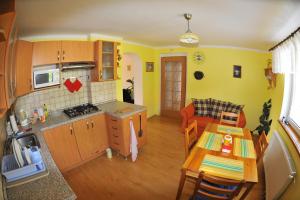 Kuchyň nebo kuchyňský kout v ubytování Apartmá u Hovorků