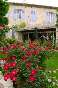 Zahrada ubytování Logis Auberge De Tavel