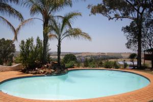 a large swimming pool with palm trees in the background at Misty Morn Cottages in Muldersdrift