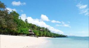 una playa con un grupo de cabañas y el océano en Transit Point Hostel Mactan Cebu en Isla de Mactán