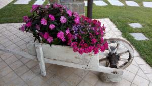 A garden outside La cicala stonata