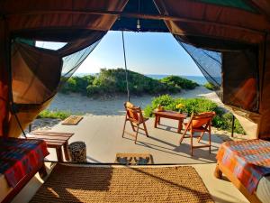 a view from inside a tent with chairs and a table at Back of Beyond Dune Camp Yala in Yala