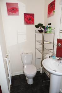 a bathroom with a toilet and a sink at Torridon Guest House in Inverness