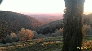 uma vista de auliculiculiculiculiculiculiculiculic em Il Pozzo Della Citerna em Castelnuovo Berardenga