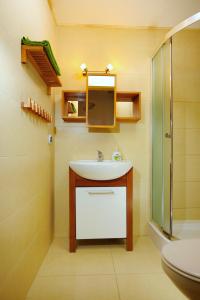a bathroom with a sink and a shower and a mirror at Apartament Makowe Pola in Żarnowska