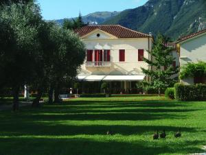 バッサーノ・デル・グラッパにあるホテル ヴィラ カセッテの芝生の中にアヒルが生える庭のある家