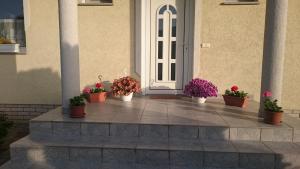 Natalie Appartment 9737 Bük, 11 Tavasz utca kép - 2