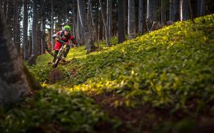 Hosté ubytování Apartmajska hiša Muštrinka