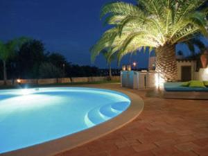 a large swimming pool with a palm tree in front of a house at Luxurious Villa in Silves with Swimming Pool in Nora