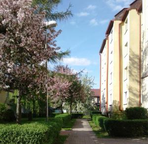 Fotografia z galérie ubytovania Apartament Jaśminowy v destinácii Kudowa-Zdrój