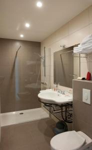 bagno con doccia, lavandino e servizi igienici di B&B La Vie En Roses a Moorsel